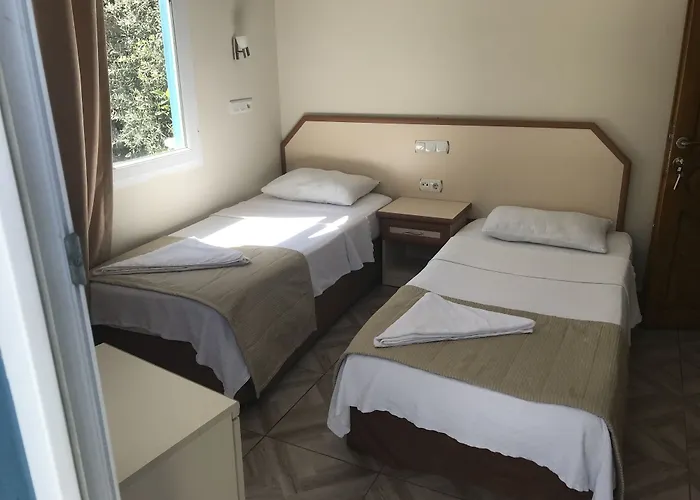 Ideal フェティエ