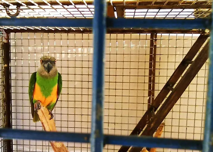 Ideal 5* Фетхие